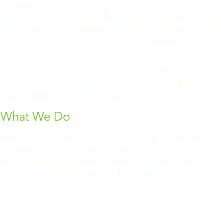 We understand how in this modern day and age people's schedules can be overrun with both work and family related responsibilities and commitments and as a result traditional chores such as cleaning may get left by the way side. But Blue Breeze Cleaning Service is here to help... Employing our wide range of technical expertise and effective assortment of cleaning accessories we'll get your home looking clean and fresh in no time! What We Do
Whether it's a dirty carpet, stained furniture or mouldy bathroom Blue Breeze has got you covered. We use the latest cleaning techniques to ensure that your premises not only look cleaner but are rid of dangerous germs and allergens.
